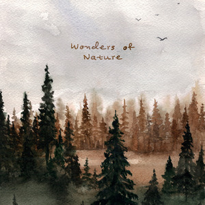 江疏影做爰高潮全过程
